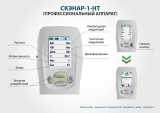 СКЭНАР-1-НТ (исполнение 01)  в Рошале купить Скэнар официальный сайт - denasvertebra.ru 