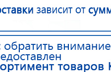 СКЭНАР-1-НТ (исполнение 01)  купить в Рошале, Аппараты Скэнар купить в Рошале, Скэнар официальный сайт - denasvertebra.ru
