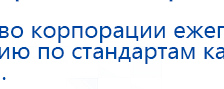 Электроды Скэнар -  двойной овал 55х90 мм купить в Рошале, Электроды Скэнар купить в Рошале, Скэнар официальный сайт - denasvertebra.ru